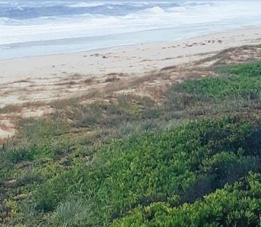 Diamond Beach Resort | Seashells Beachfront Resort