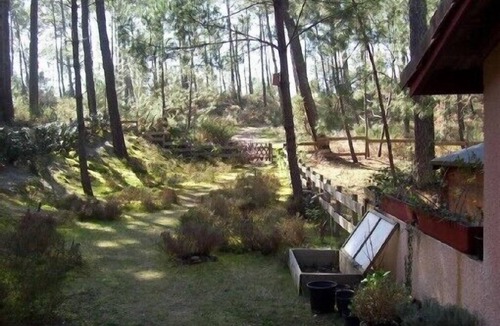 Moliets-et-Maa House | Seaside and woodland vacations near San Sebastian, Capital of Culture 2016.