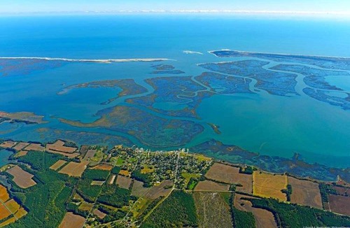 Wachapreague Hotel | Seaside Apartment #22