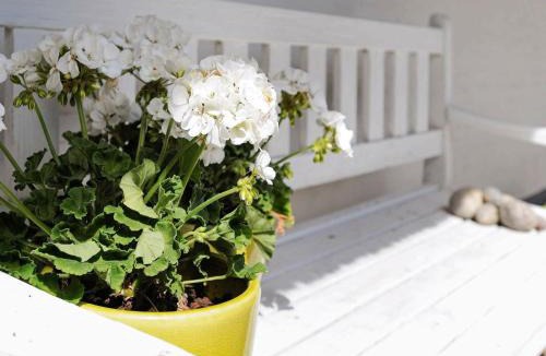 Vedelshave House | Seaside Charm in Baring - By Traum Ferienwohnungen