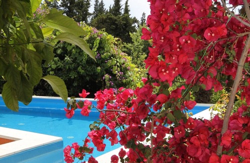 Mlini House | Seaside family friendly house with a swimming pool Mlini (Dubrovnik) (K-2145)