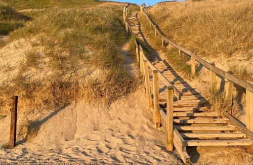 Trans House | Seaside Fun Retreat-By Traum