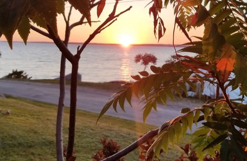 Upper Blandford House | Seaside Oasis