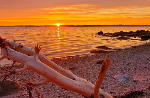 Upper Blandford House | Seaside Oasis