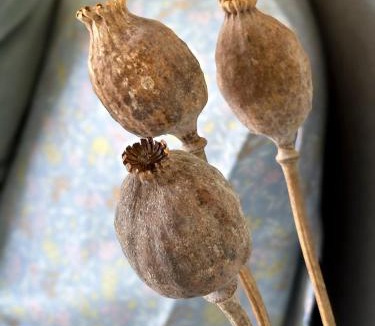 Stege Resort | Seaside Retreat & Hotel