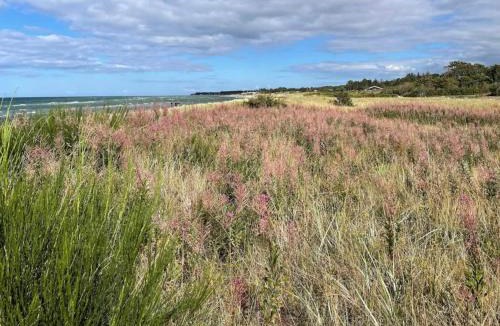 Fjellerup House | Seaside Retreat with Pool - By Traum Ferienwohnungen