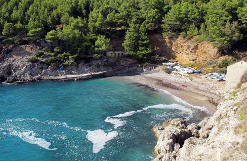 Mljet Apartment | Seaside secluded apartments Cove Sutmiholjska, Mljet - 22318