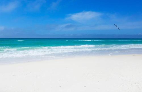 Bel Air House | Seaside Serenity