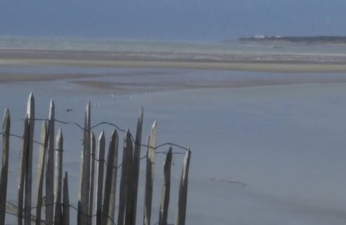 Le Touquet-Paris-Plage Apartment | Seasonal rental studio rez of garden in villa of charm