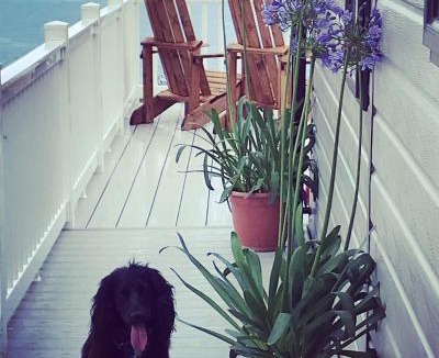 Kimmeridge Ski Chalet | SeaView Sleeps 4to6 Pet friendly Parking