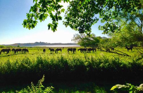 Nibe House | Sebber Kloster