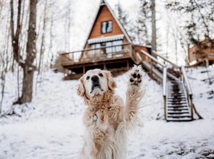 Luther Ski Chalet | Secluded A-Frame Cabin with Private Riverfront on Little Manistee River near Tustin, Michigan