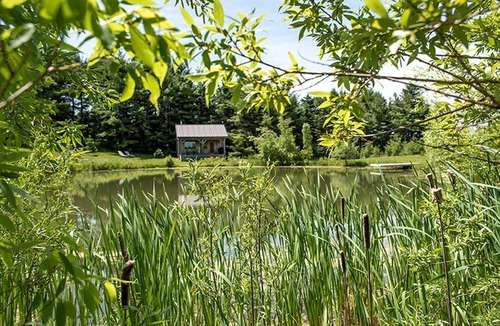 Schomberg Cabin | Secluded and Rustic Cabin Retreat Just North of Toronto