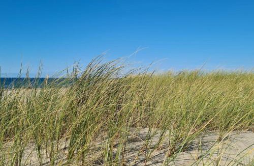 Rødhus House | Secluded Beach Retreat in Rodhus-By Traum