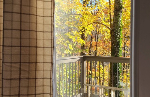 Cattail Creek Cabin | Secluded Bearcat Cabin with mountain view