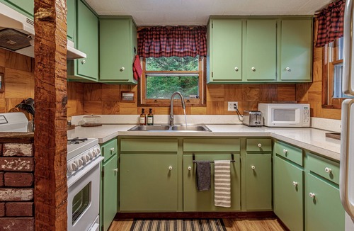 Town of Broome Cabin | Secluded Cabin 30 mins from Windham with King Bed, Game Room, Fireplace, Firepit