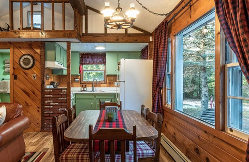 Town of Broome Cabin | Secluded Cabin 30 mins from Windham with King Bed, Game Room, Fireplace, Firepit
