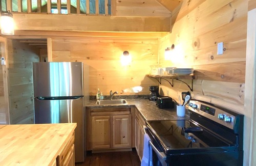 Davenport Cabin | Secluded Cabin Fire pit : Hiking : Near Oneonta