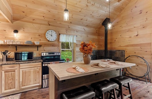 Davenport Cabin | Secluded Cabin Fire pit : Hiking : Near Oneonta