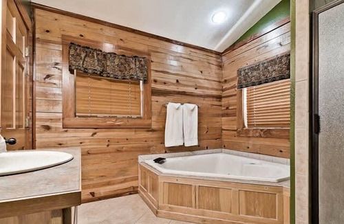 Sylvan Shores Cabin | Secluded Cabin in the woods Wifi Jacuzzi Fireplace