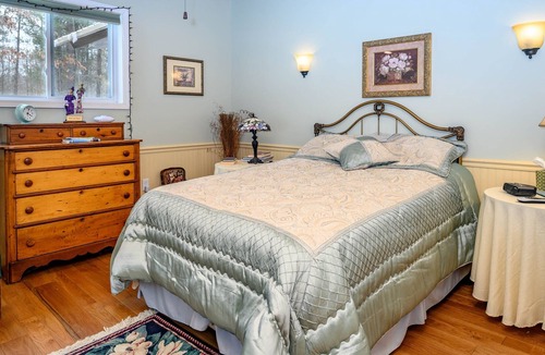 Dansville Cabin | Secluded Cabin near State Land