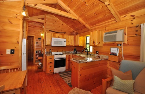 Hot Springs Cabin | Secluded Cabin w/Hot Tub & Fire Pit