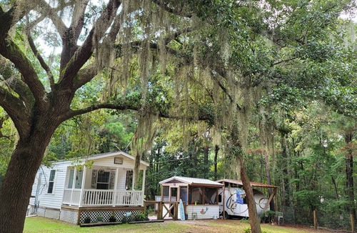 Edisto Island Cottage | Secluded Cozy Cottage on 5 acres 10 minutes from Edisto Beach SC