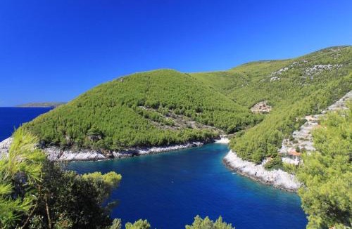 Zrnovo House | Secluded fisherman's cottage Cove Bratinja Luka, Korcula - 12764