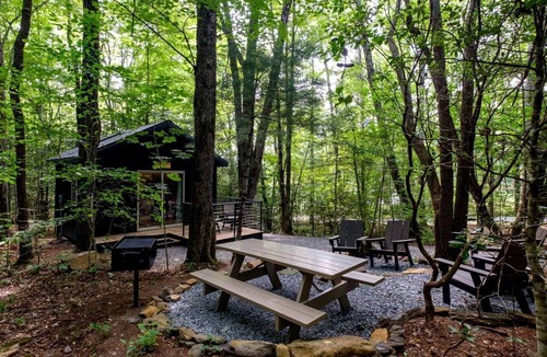 Balsam Grove Cabin | Secluded Forest Paradise: Cozy Cabin on 150 Acres in Transylvania County, NC