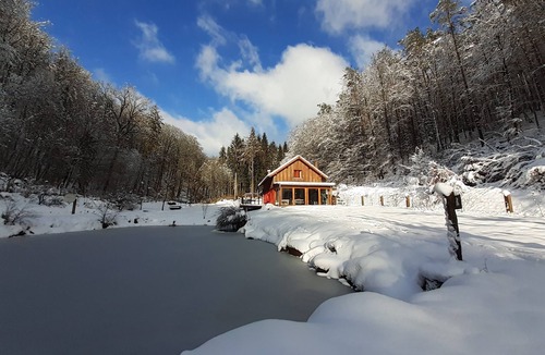 Reipertswiller House | Secluded forest cottage with private pond