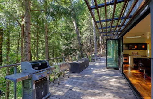 Chicago Park House | Secluded 'Green' Award-Winning Contemporary Lakefront Home