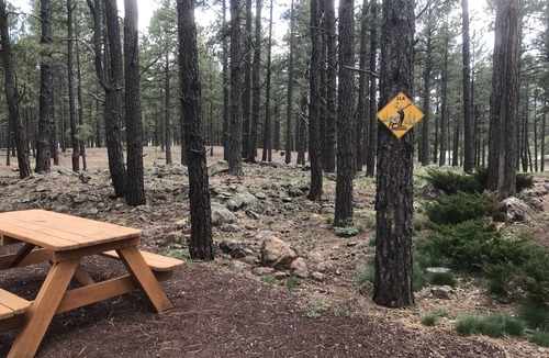Parks Cottage | Secluded, Historic Wrigley Ranch Cabin- Pine Forest- 25 Acres Near Grand Canyon
