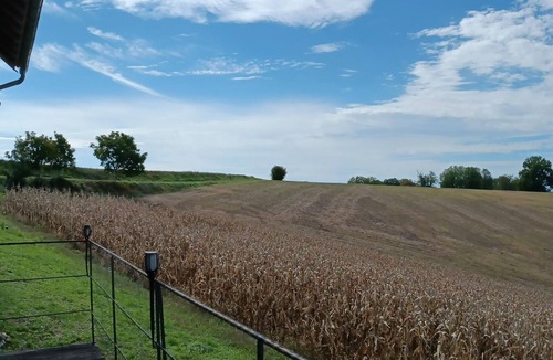 Montignac-le-Coq Cottage | Secluded house with private pool and spa, Charente