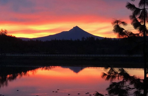 Shady Cove Cabin | Secluded Lakefront Cabin With Private Lake