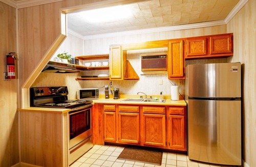 Leadsville Cabin | Secluded Lodge*Full kitchen + King Bed
