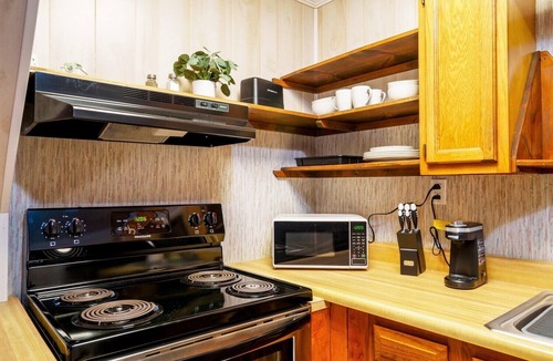 Leadsville Cabin | Secluded Lodge*Full kitchen + King Bed