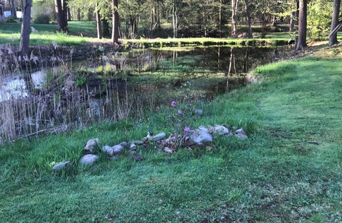 Blossvale Cottage | Secluded loft