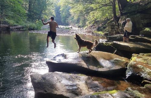 Town of Denning Cabin | Secluded Log Cabin in Slide Mountain Wilderness