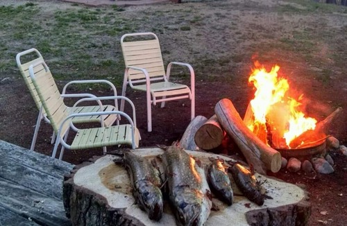 Lake Cabin | Secluded Log Cabin On Our Private Lake!