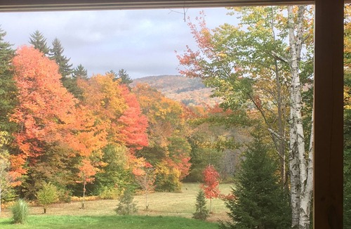 West Dover Cabin | Secluded Log Cabin with Waterfalls, Scenic Views, Pond & EV Outlet