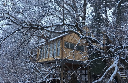 Hollowville Cabin | Secluded Magic Treehouse Escape; Hudson, NY.