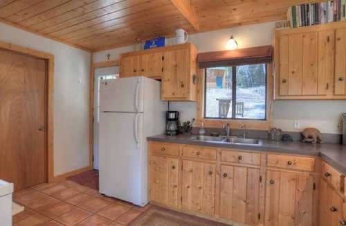 Creede Cabin | Secluded Mountain Cabin - Pet Friendly - National Forest Access