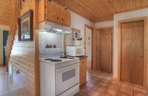 Creede Cabin | Secluded Mountain Cabin - Pet Friendly - National Forest Access