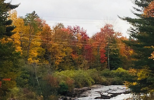 Brantingham Cabin | Secluded Off Grid Cabin in the Adirondacks