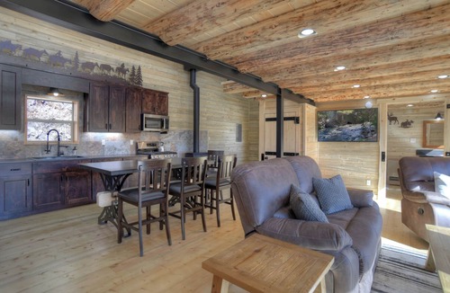 Creede Cabin | Secluded Off-Grid Mountain Retreat | Pet-Friendly | National Forest | Views