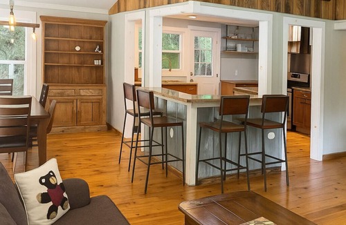 Candler Cabin | Secluded, parkway, spring, hiking on property, hot tub, pets, fire pit, 360 tour