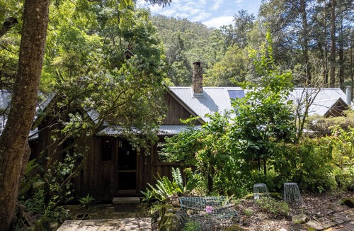 Cedar Brush Creek Cabin | Secluded rainforest retreat surrounded by nature!