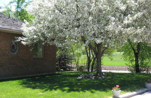 Avon House | Secluded River Haven in Cache Valley