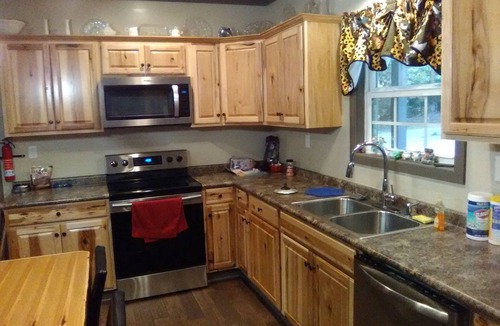 Rogersville House | Secluded River Lot on Elk River