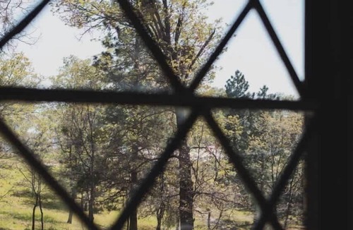 Dunlap Cabin | Secluded rustic 3-bedroom cabin on private land